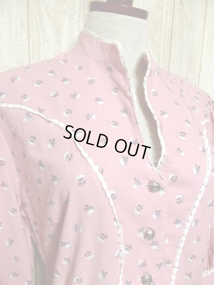 画像3: 花柄 ストライプ柄 ピンク コンチョボタン レース 袖あり ガーリー ディアンドル チロルワンピース ドイツ民族衣装 舞台 演奏会 フォークダンス オクトーバーフェスト 【4056】 (3)