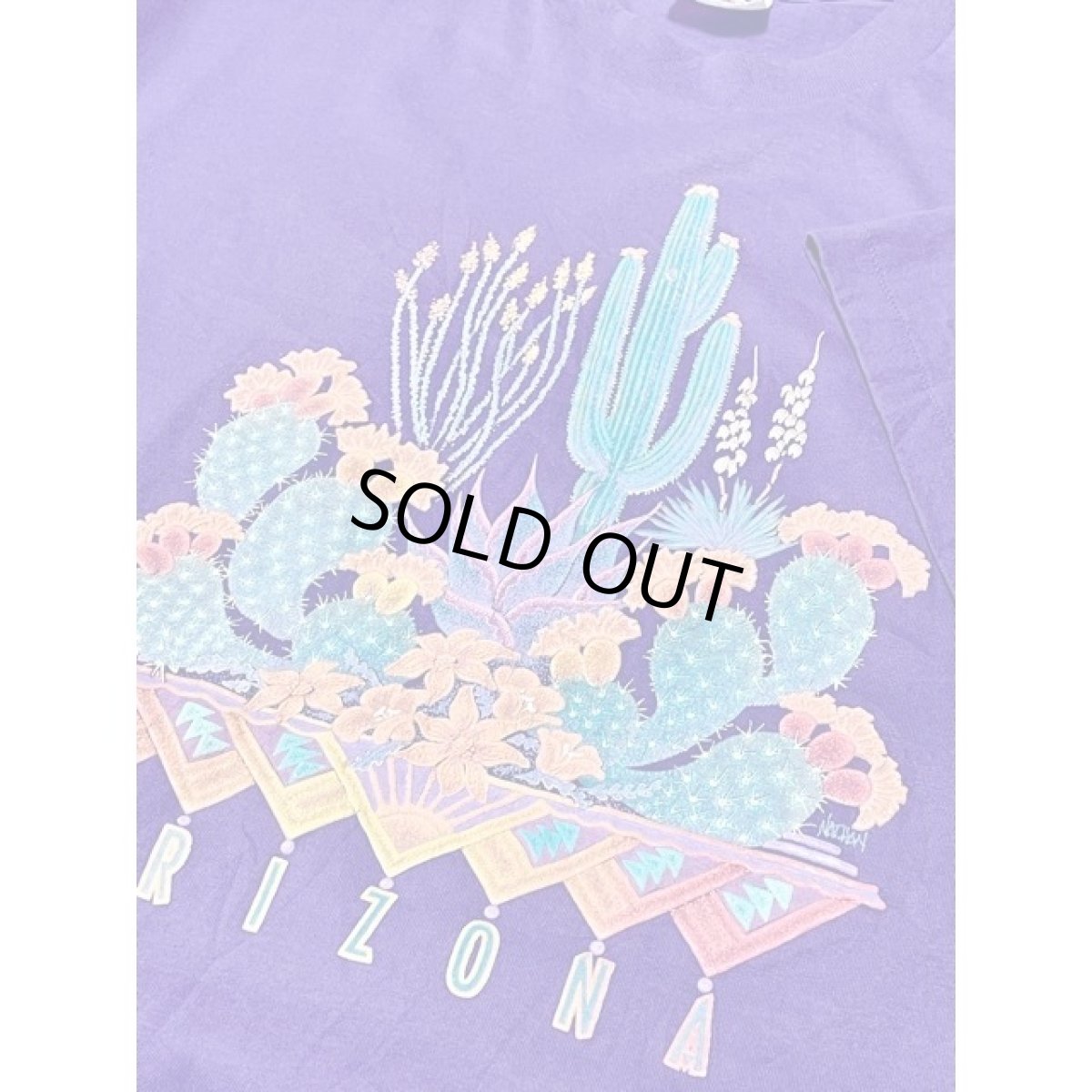 画像10: サボテン 英字 Hanes パープル ガーリー 半袖 レトロ USA古着 ヴィンテージ Tシャツ (10)