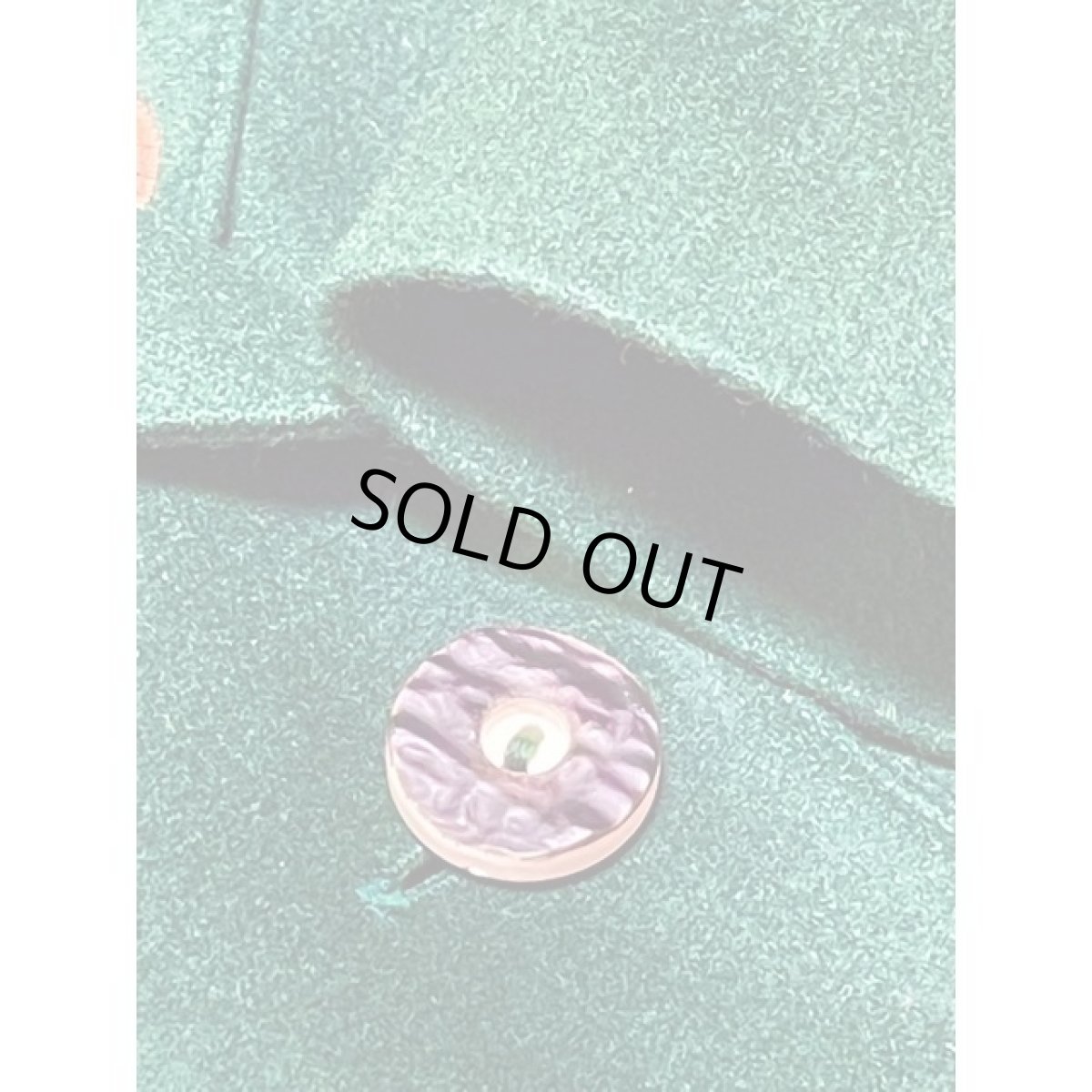 画像14: 刺繍 グリーン ディアンドル チロルジャケット ドイツ民族衣装 舞台 演劇 演奏会 フォークダンス オクトーバーフェス (14)