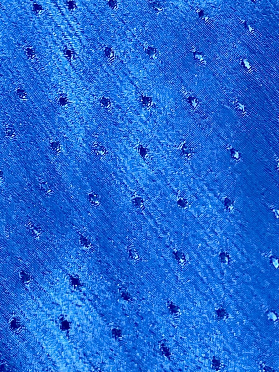 画像9: ブルー ピンドット織り 首元フリル 後ろボタン 長袖 シャツ レトロ USA古着 ヴィンテージブラウス (9)