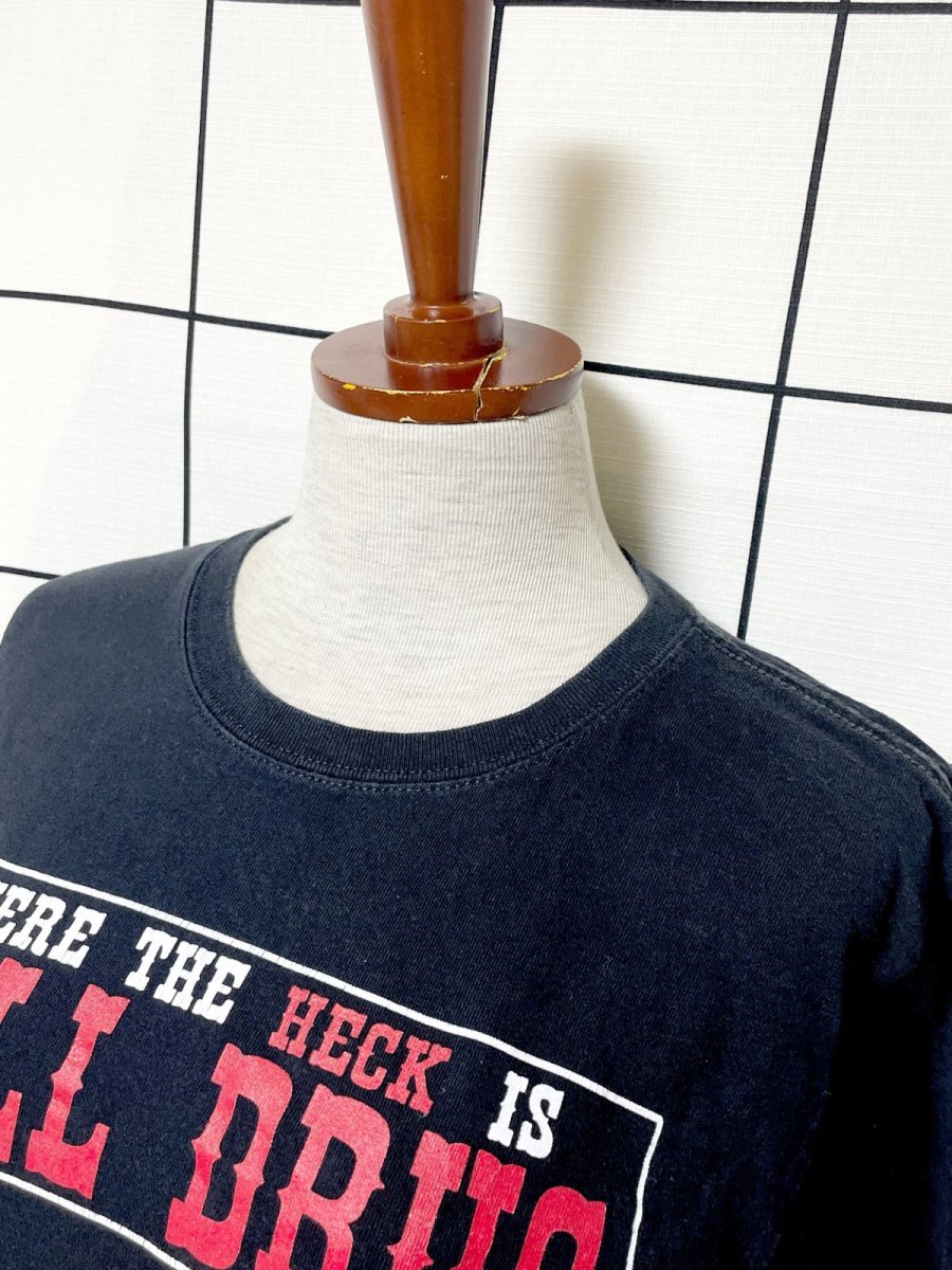 画像4: anvil ブラック レトロ 古着 半袖 Tシャツ (4)