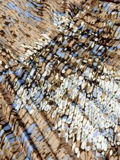 画像12: プリーツ切り替え 首元リボン アート柄 ウエストゴム レトロ USA古着 ヴィンテージワンピース (12)