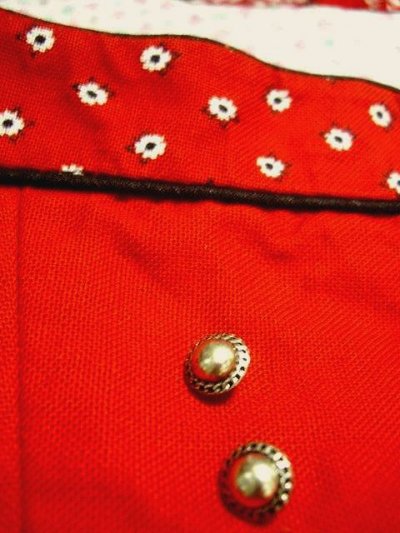 画像2: スカート裾のアンティークフラワー模様 シルエットが綺麗な小花柄 赤  ディアンドル チロルワンピース ドイツ民族衣装 舞台 演奏会 フォークダンス オクトーバーフェスト 【1255】